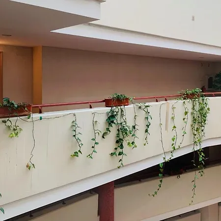 Perola De Viana - Cabedelo * Viana do Castelo