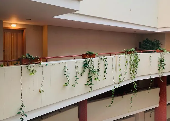 Perola De Viana - Cabedelo * Виана-ду-Каштелу